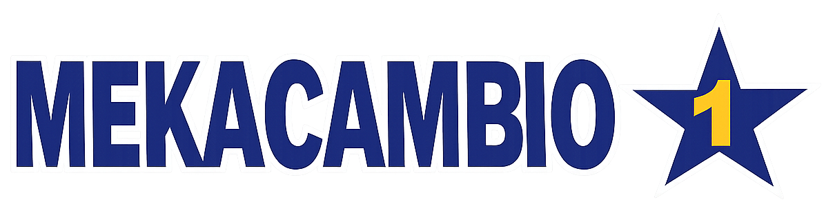 MekaCambios1